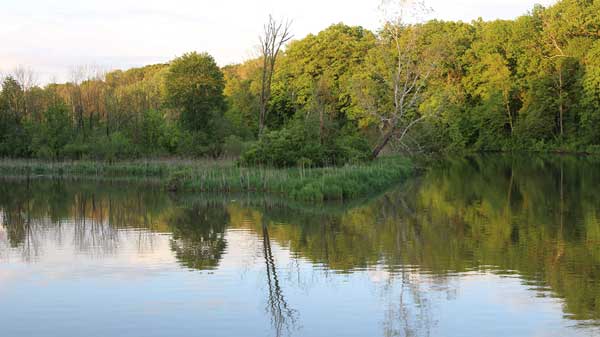 Stay Active at Eagle Creek Park